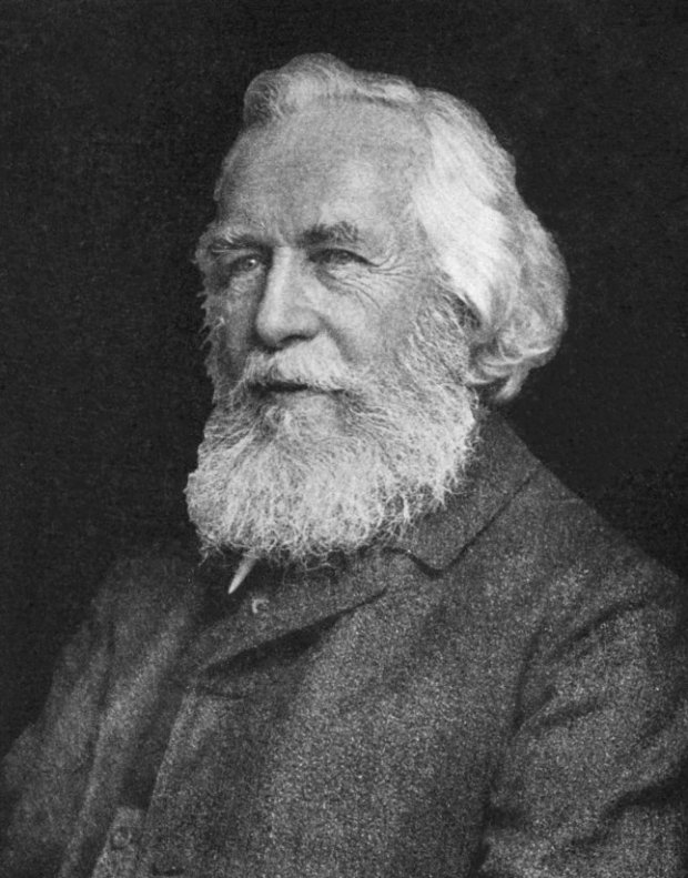 Ernst_Haeckel_5