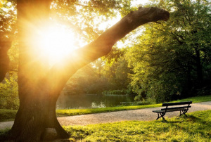 sacrul in literatura